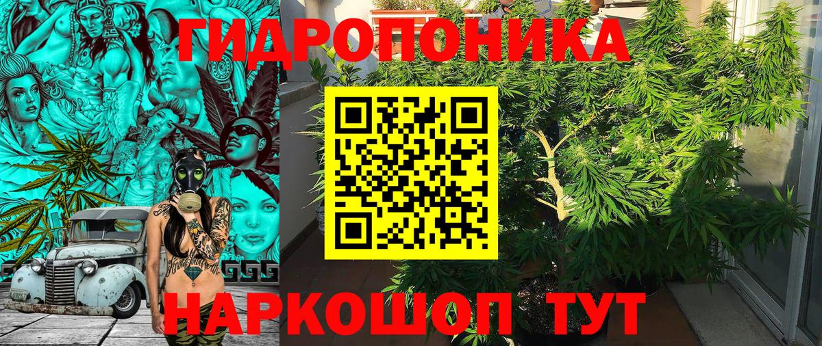 Чебоксары  Бошки марихуана ГИДРОПОН  Каннабис сатива  Марихуана VHQ  Вход с VPN  Бошки Шишки семена 